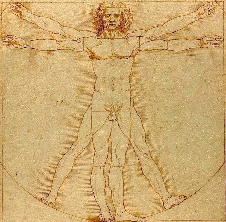 Leonardo da Vinci — Vitruvian Man, c. 1490